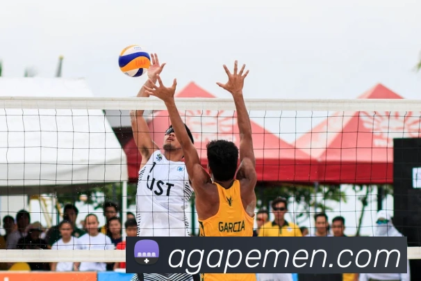 App Interface Preview